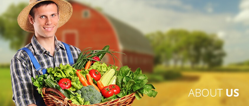 about_foodfarm