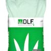 Семена овсяницы красной купить DLF Maxima 1