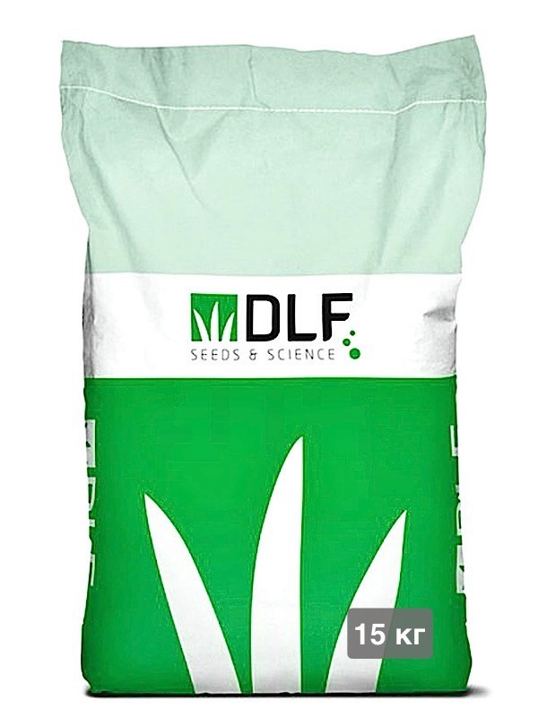 Семена овсяницы красной купить DLF Maxima 1