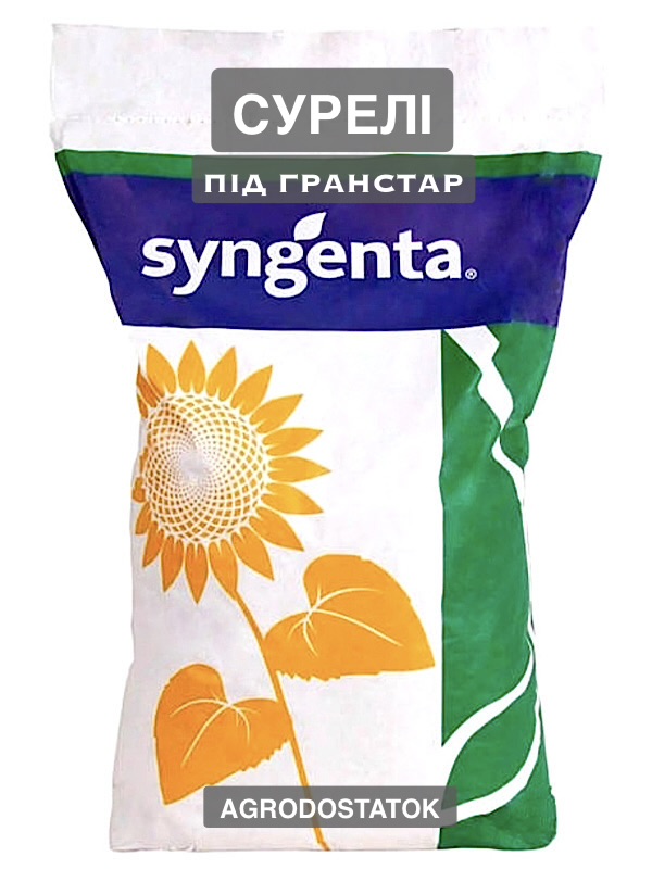 Соняшник Сурелі Syngenta